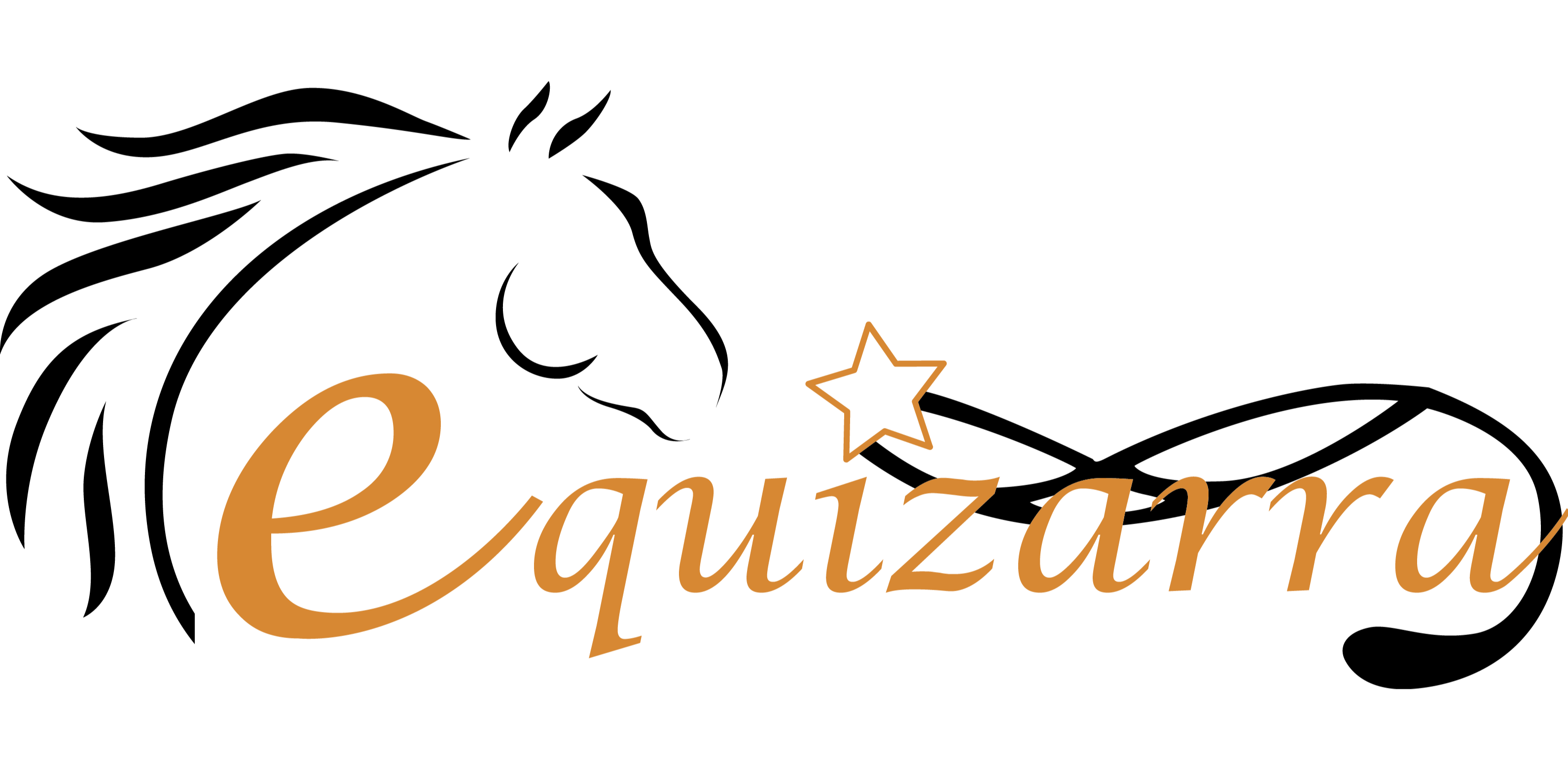 Logo EQUIZARRA